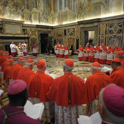 A gathering of cardinals