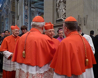 Cardinals greet each other after the consistory on November 24, 2012 in St. Peter's Basilica.