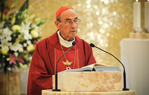 Cardinal Velasio de Paolis. Courtesy of the Legion of Christ.