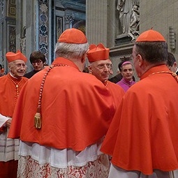 Cardinals gather to talk at the November 2012 consistory.