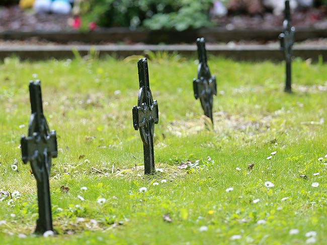 Children’s toys along with flowers sit at the Little Angels memorial plot in the grounds of Bessborough House in Blackrock, Co. Cork last week.