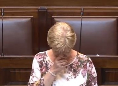 Anne Ferris during a previous Dail debate
