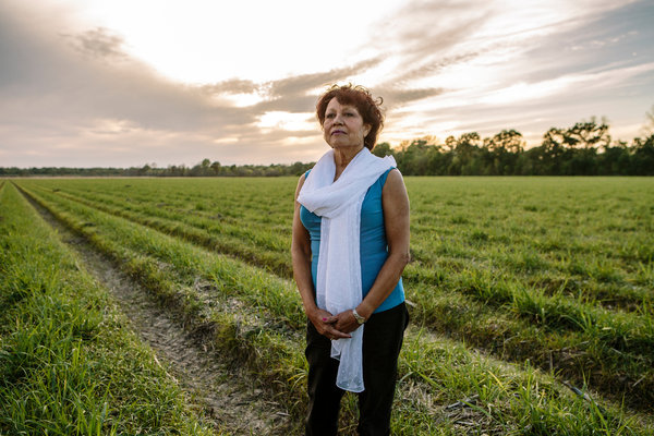 Maxine Crump, 69, a descendant of one of the slaves sold by the Jesuits, in a Louisiana sugar cane field where researchers believe her ancestor once worked.