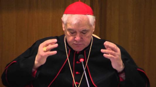 Cardinal Gerhard Muller