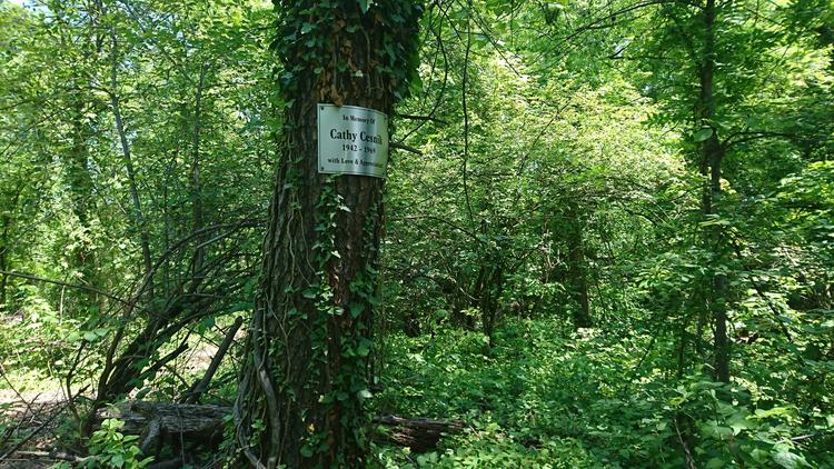 A placard to commemorate Sister Cathy Cesnik has been placed on a tree in the area where her body was found. (Amy Kaufman / Los Angeles Times)