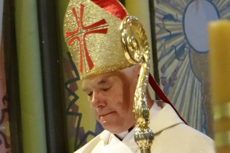 Cardinal Gerhard Muller / Jolanta Dyr / Wikipedia / CC-BY-SA-3.0