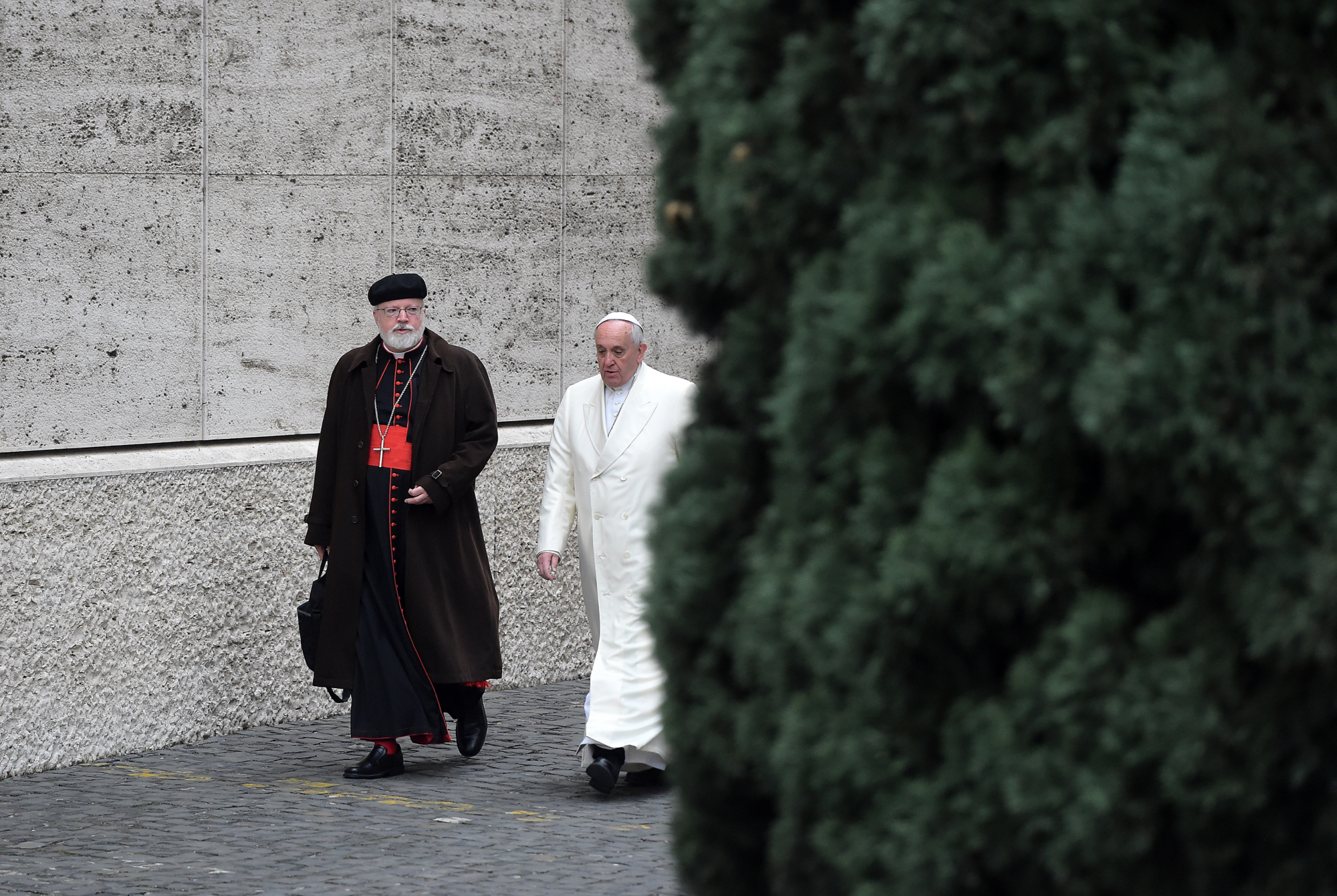 Cardinal Sean O’Malley, of the Pope’s child protection commission, has been tasked to work on the proposal