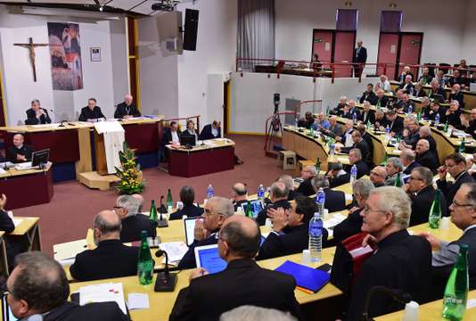 Lors de l’assemblee de la Conference des eveques de France, a Lourdes, en novembre 2014. ERIC CABANIS / AFP
