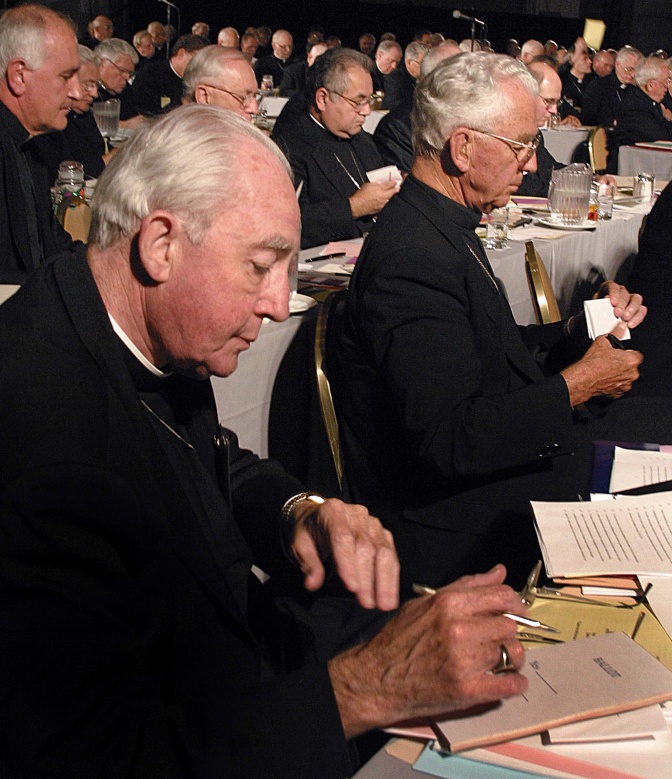 U.S. bishops cast their votes on the Charter for the Protection of Children and Young People at their 2002 meeting in Dallas (CNS photo/Bob Roller)