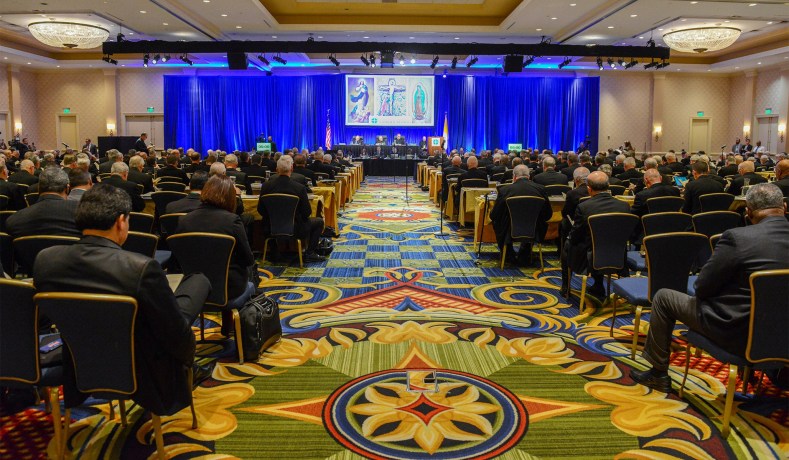 Attendees at the USCCB general assembly in Baltimore, Md., in 2018. (File photo: Theresa Keil/Reuters)