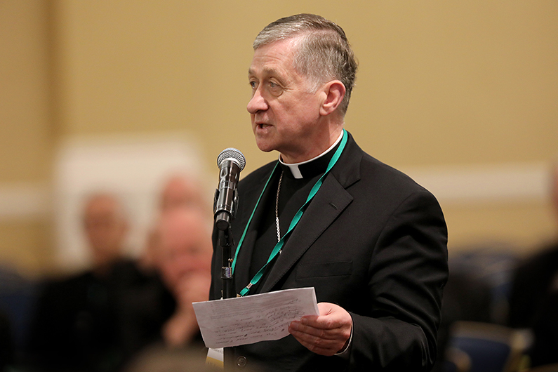 Cardinal Cupich speaks from the floor during the spring general assembly of the U.S. Conference of Catholic Bishops in Baltimore June 12, 2019. (CNS photo/Bob Roller)