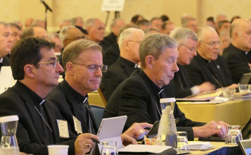 U.S. Catholic bishops at their November 2017 meeting.