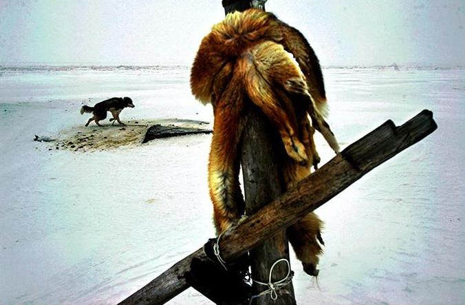A fox fur and dog in blizzard. Photo by Damon Winter.
