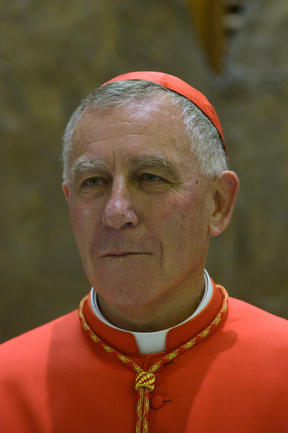 Cardinal John Dew. Photo: AFP / Tiziana Fabi