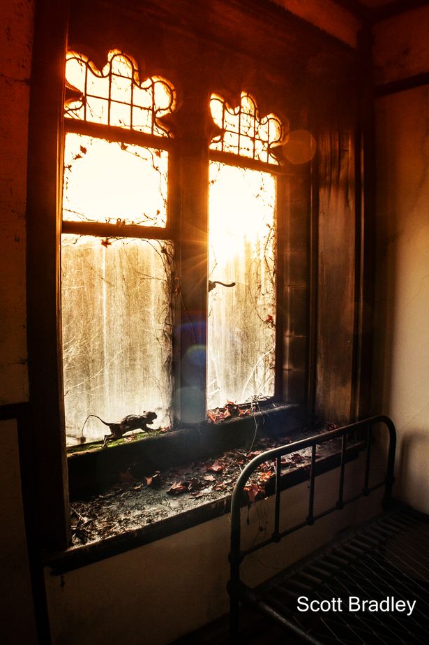 A rat is preserved on the windowsill of a room which was presumably once the quarters of a student or staff member (Image: Scott Bradley)