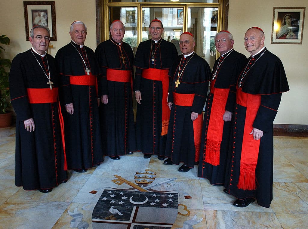 US Cardinals (From L) Justin Francis Rigali, Adam Joseph Maida, Edward Michall Egan, Roger Michael Mahony, Francis George, William Henry Keeler and Theodore McCarrick pose at the North American College in Rome 17 April 2005. (Gregorio Borgia  / AFP via Getty Images)