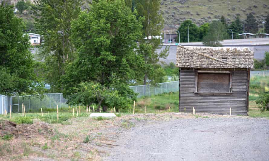 Wooden stakes mark areas where bodies are believed to be buried on the site of the former Kamloops school. Photograph: Canadian Press/Rex/Shutterstock