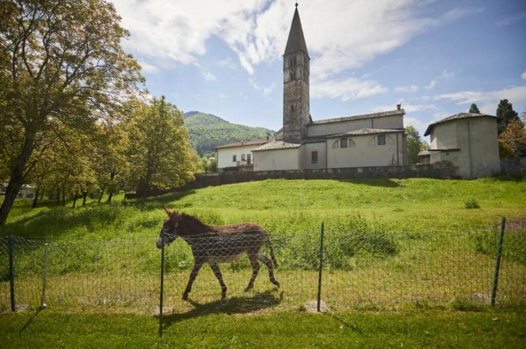 Coletti, the former bishop of Como, lives in a house adjoining a 12th-century church, with a garden and two donkeys. He is not scheduled to testify at the Vatican trial, with his doctor citing "cognitive decay." (Chiara Goia for The Washington Post)