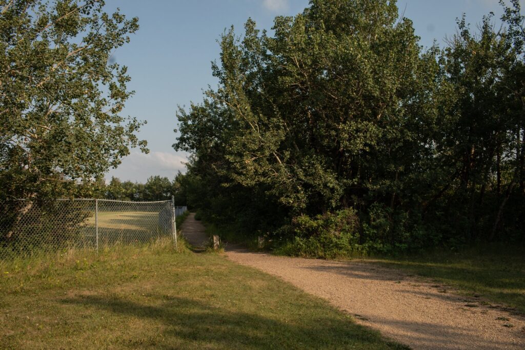 An area near a site in Edmonton that may have unmarked graves of the Papaschase Cree people. Amber Bracken for The New York Times