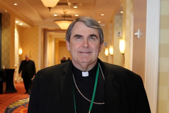 Bishop Michael Fisher at the 2019 USCCB spring general assembly, June 2019./ Kate Veik/CNA